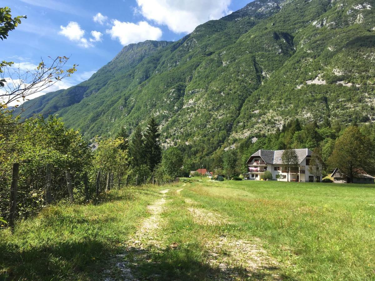 Hisa Patricija Apartamento Soča